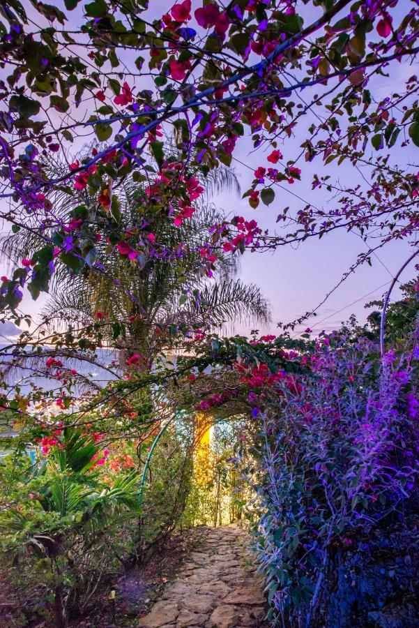 Sunset Palm Lodge San Gil Exterior foto